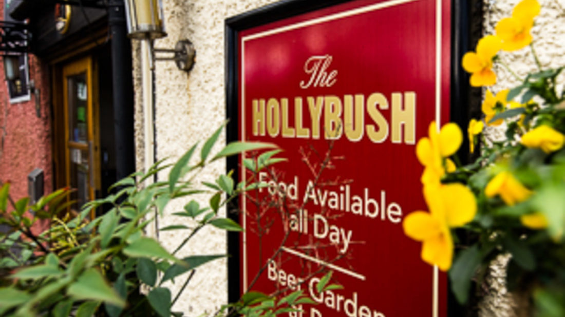 Hollybush | S.A. Brain & Co Ltd.